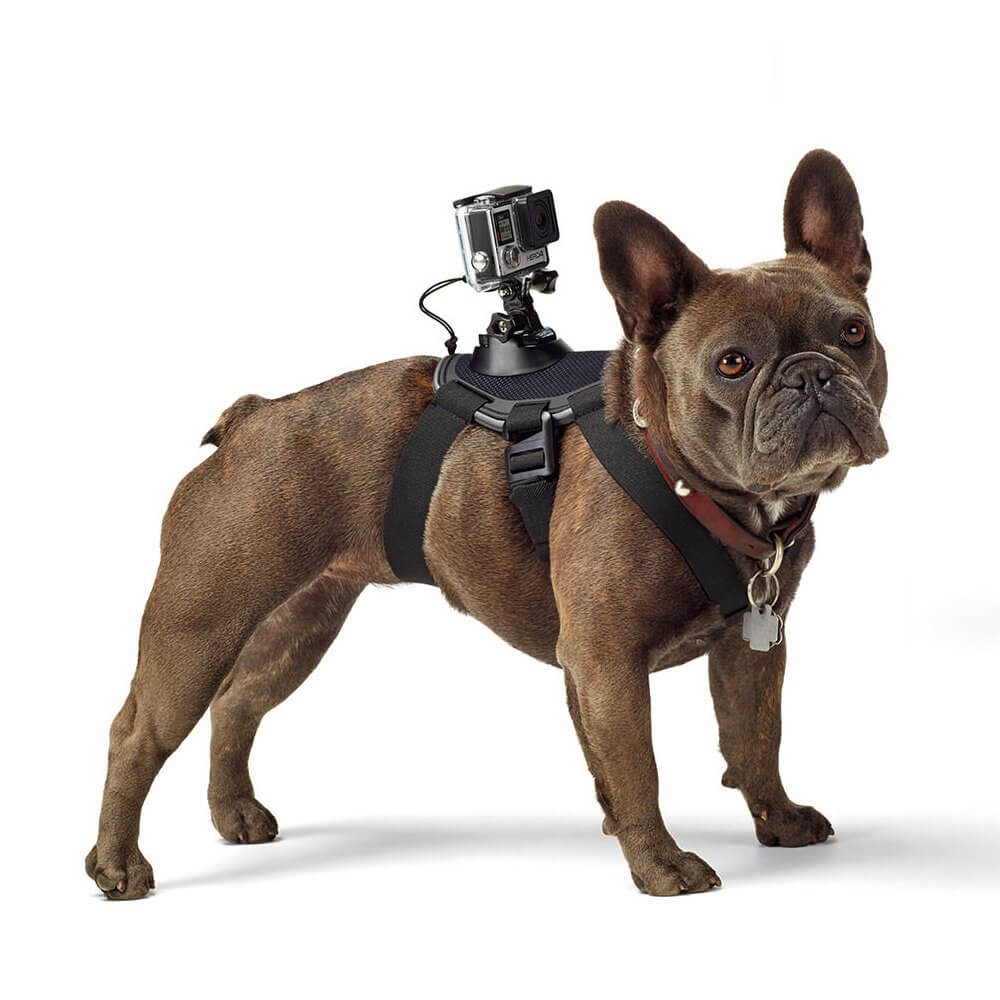 Suporte Canino GoPro ADOGM-001 Fetch Dog Harness