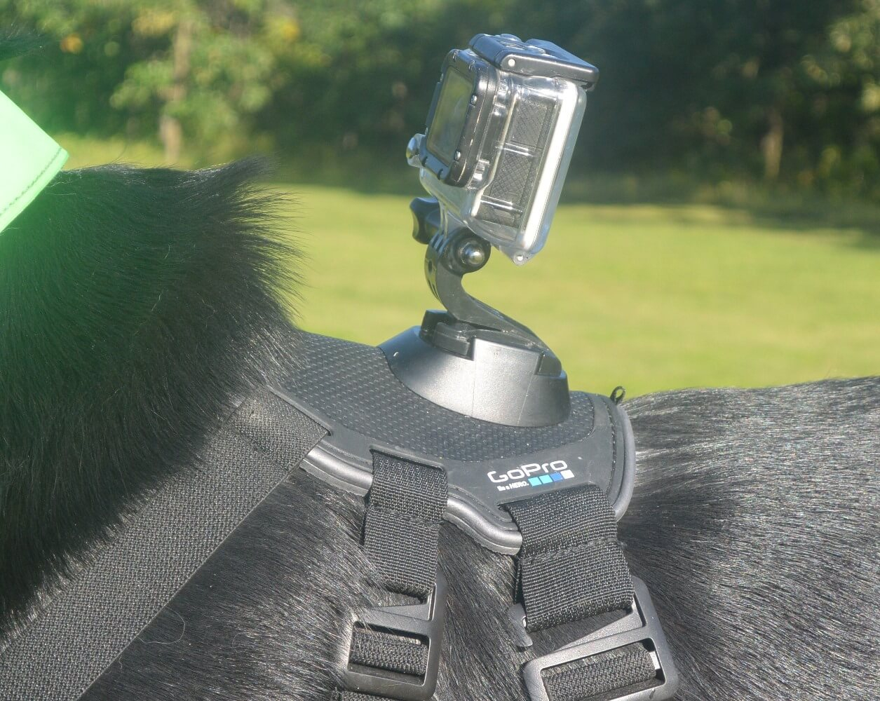 Suporte Canino GoPro ADOGM-001 Fetch Dog Harness