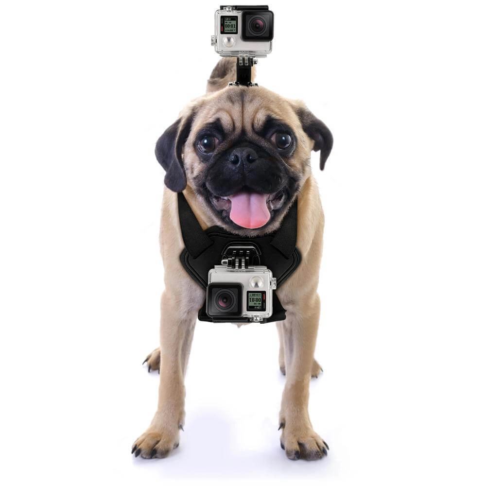 Suporte Canino Para GoPro e Câmeras Similares